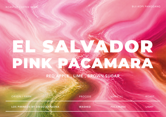 El Salvador Pink Pacamara