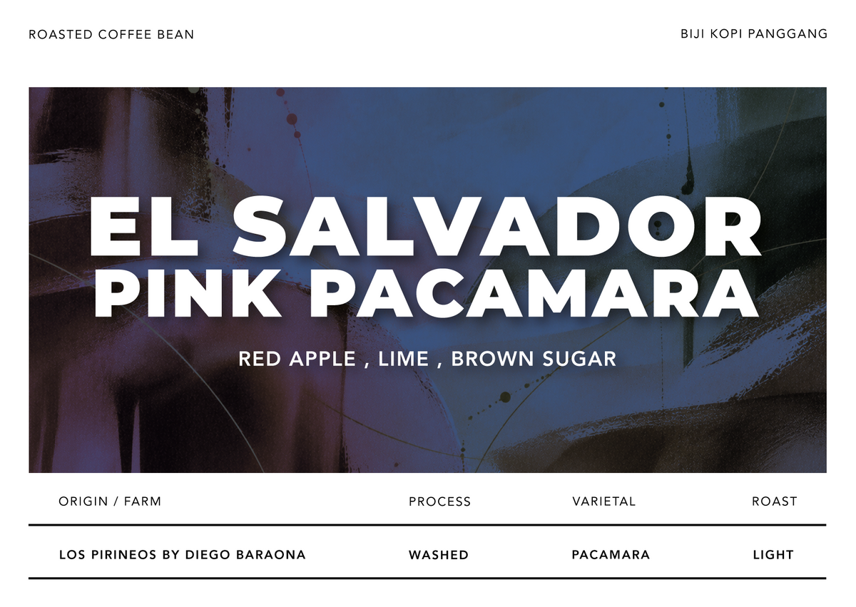 El Salvador Pink Pacamara