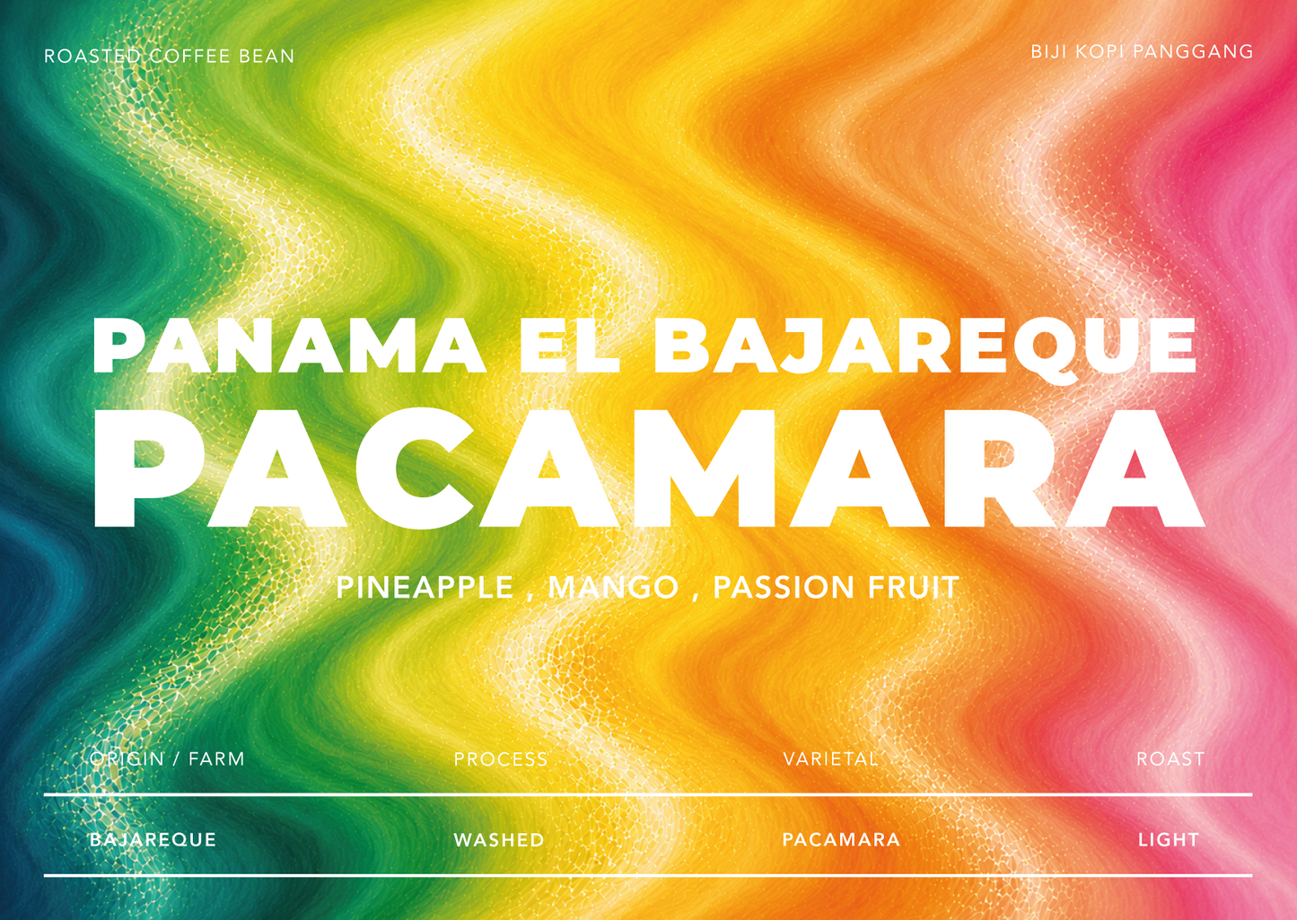 Panama El Bajareque Pacamara