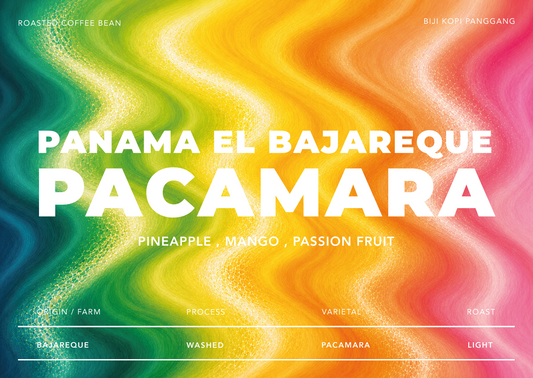 Panama El Bajareque Pacamara