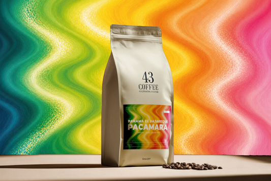 Panama El Bajareque Pacamara