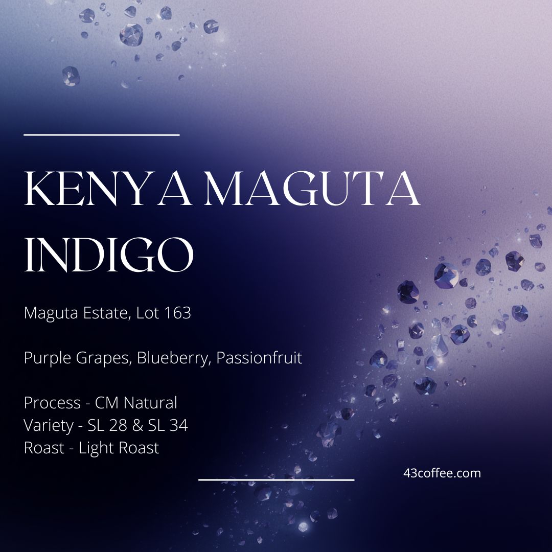 Kenya Indigo (1)